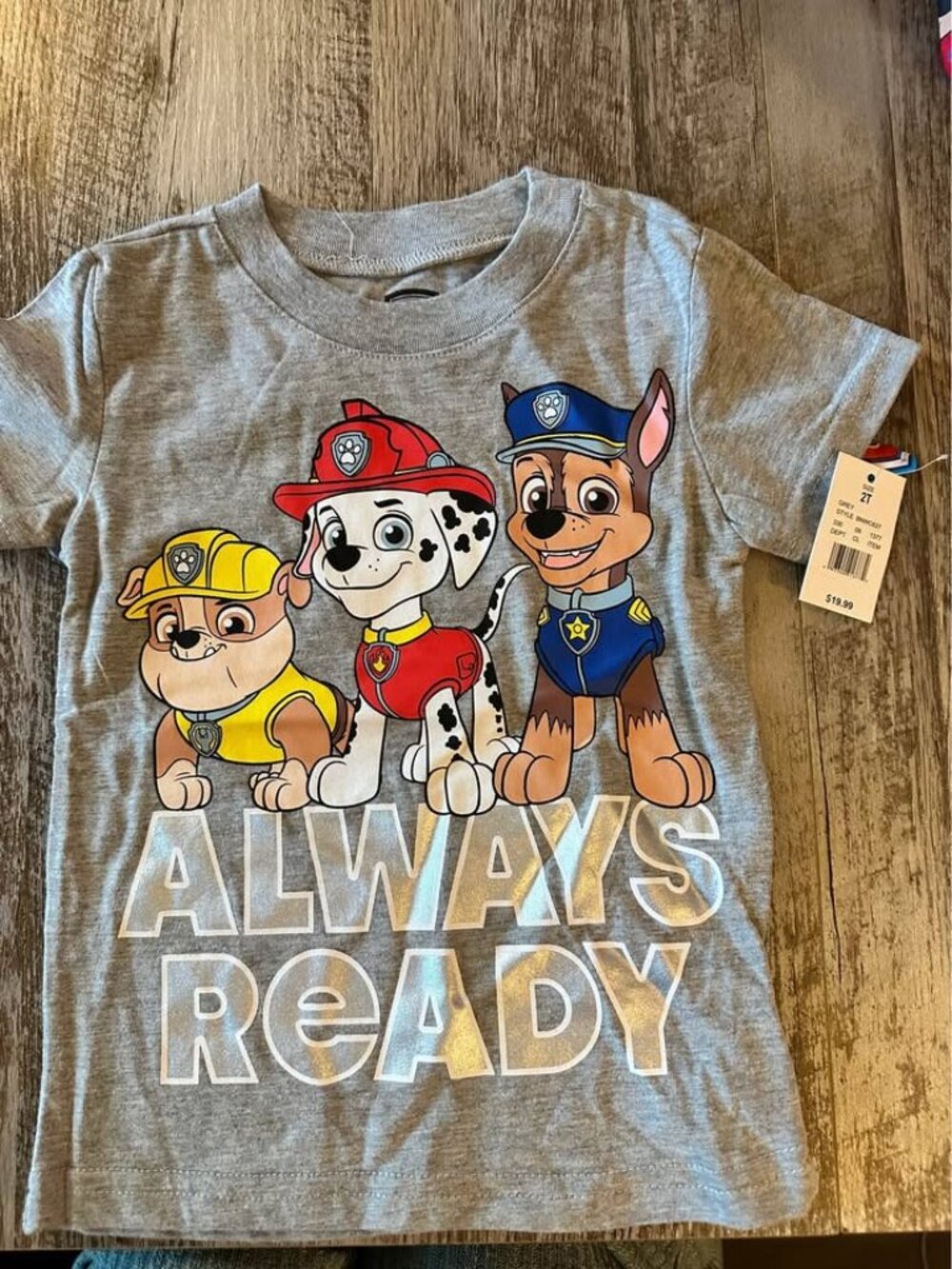 Paw Patrol Grey T-Shirt Size 2T